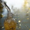 24k goldzen face serum