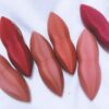Matte Lipstick